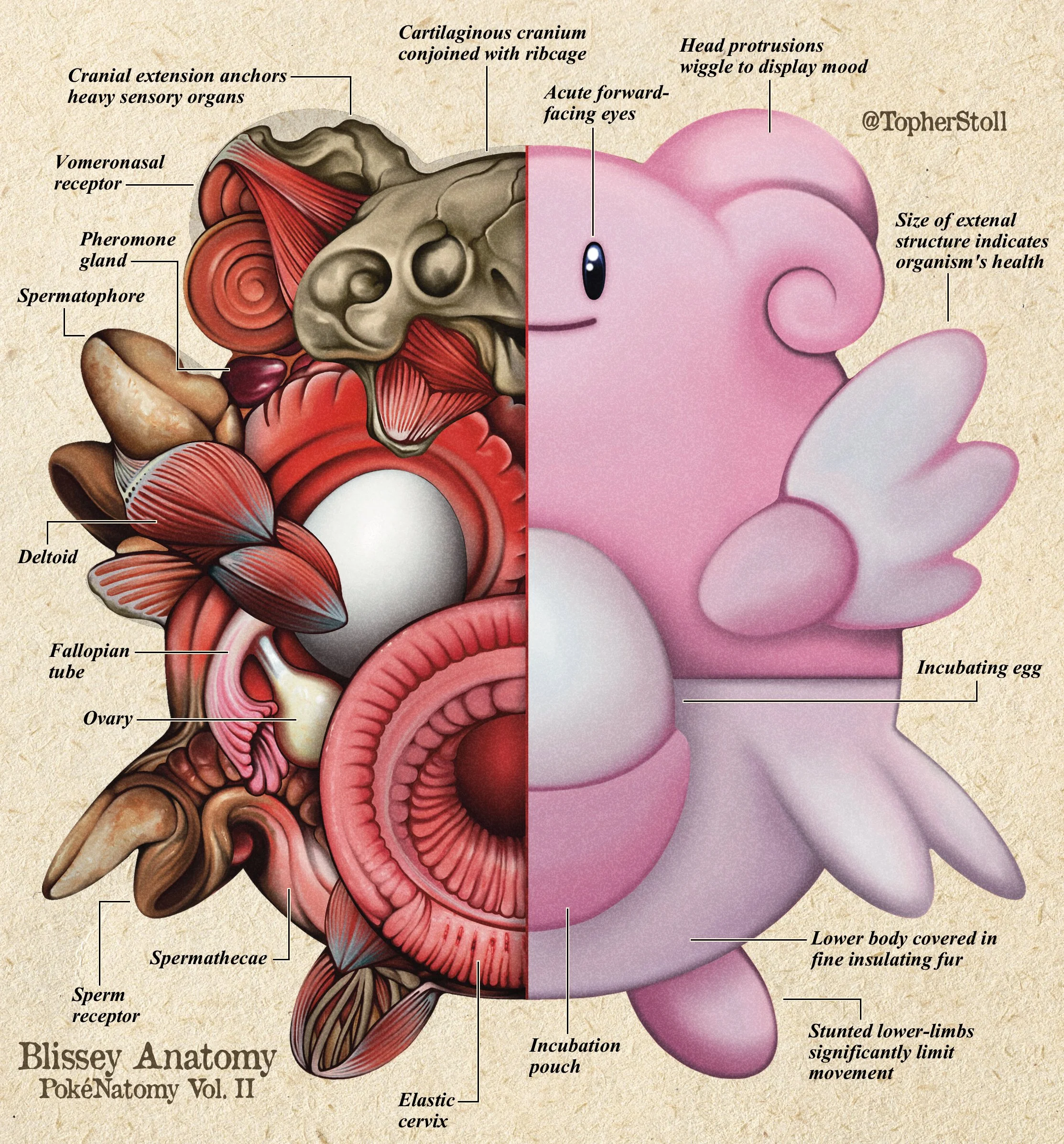 Gallery 3 — Multiverse Books